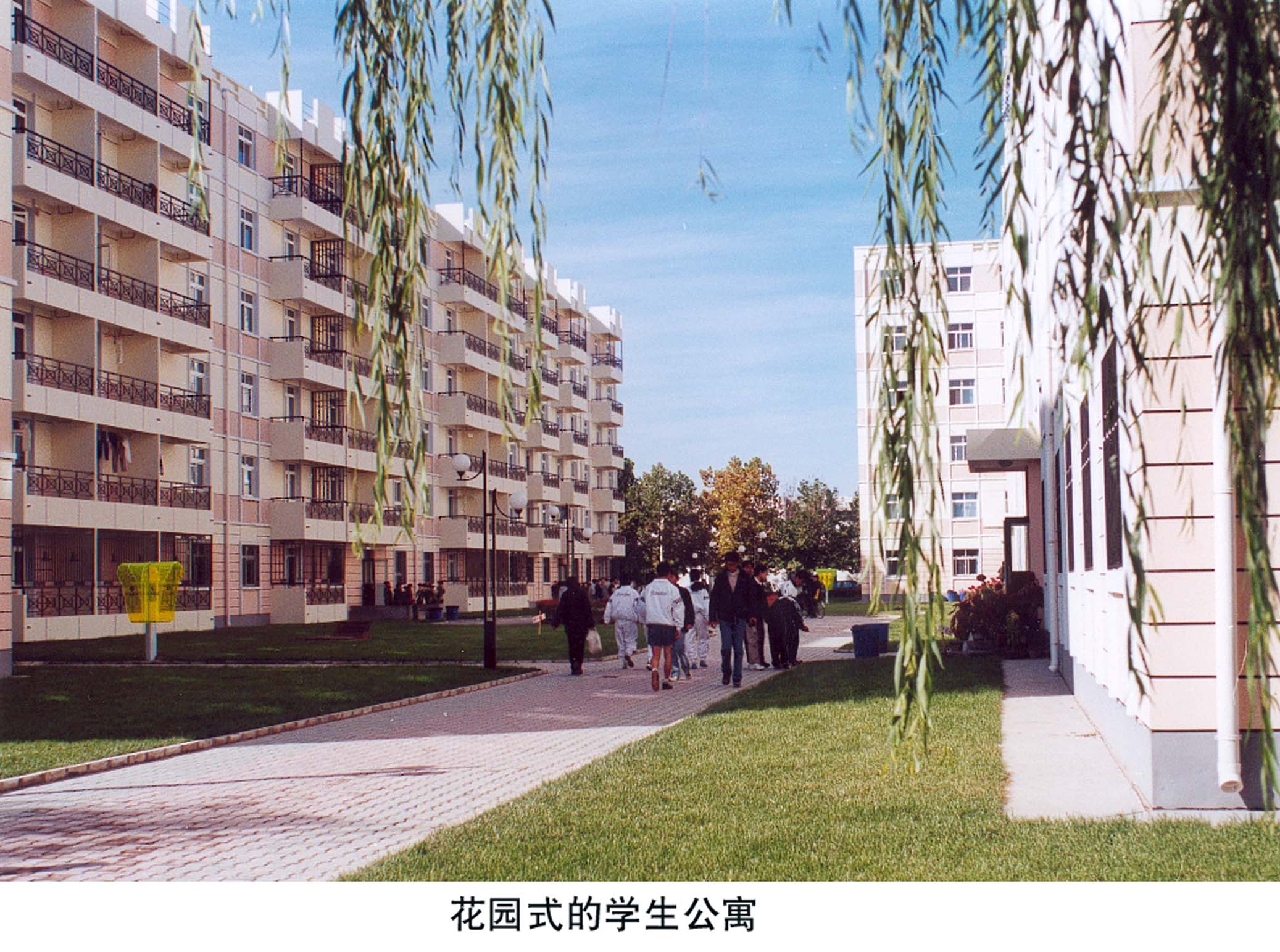 天津城市建设学院校园一角