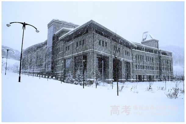 大连东软信息学院校园雪景